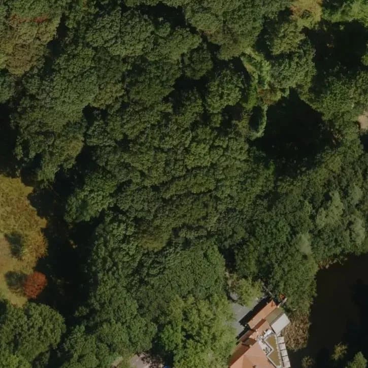 Verlaten Midgetgolfbaan