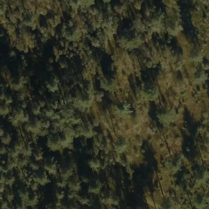 Verlaten Minutie Depot