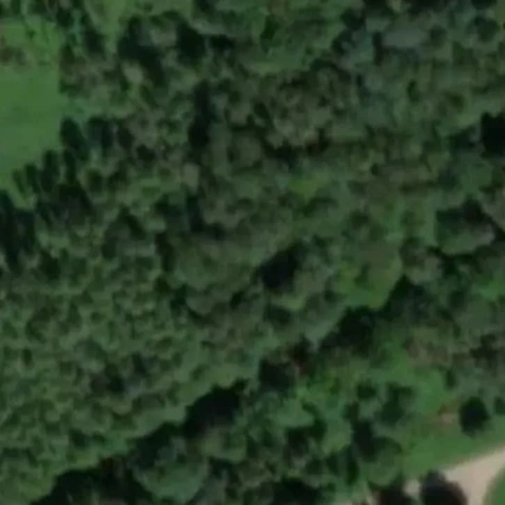 Verlaten MinutieBunker	