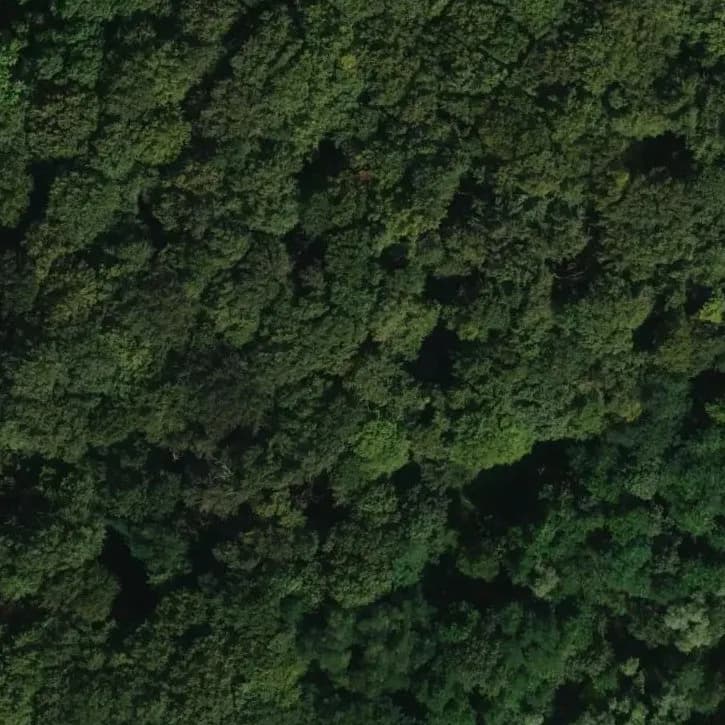 Verlaten Openluchttheater	